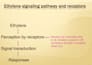 design professional ms powerpoint presentation slides
